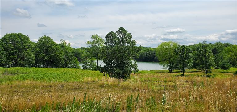 A peaceful summer landscape with a reflective lake and surrounding nature.