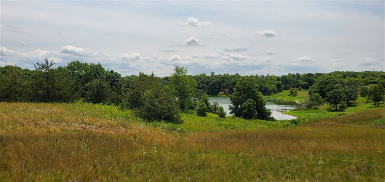 A peaceful summer landscape featuring a river, trees, and a clear sky in a rural countryside setting.
