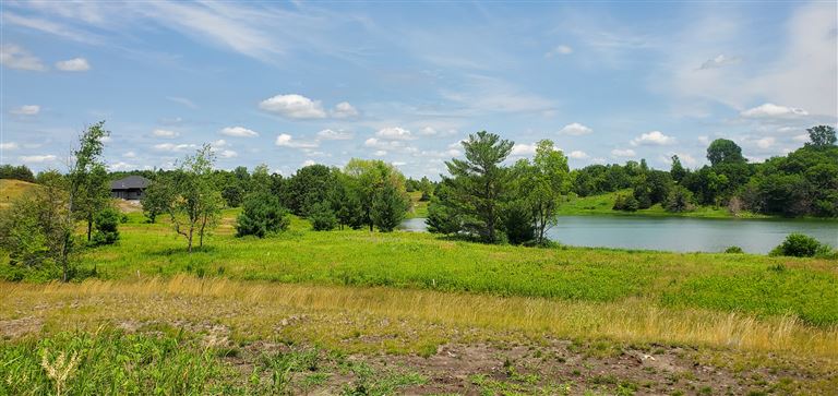 A peaceful summer landscape with a lake, grass, and trees under a clear sky.
