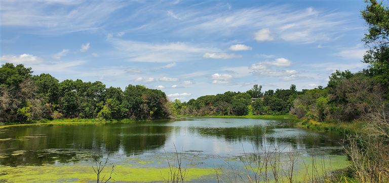 A serene summer lake with clear reflections of trees and sky.