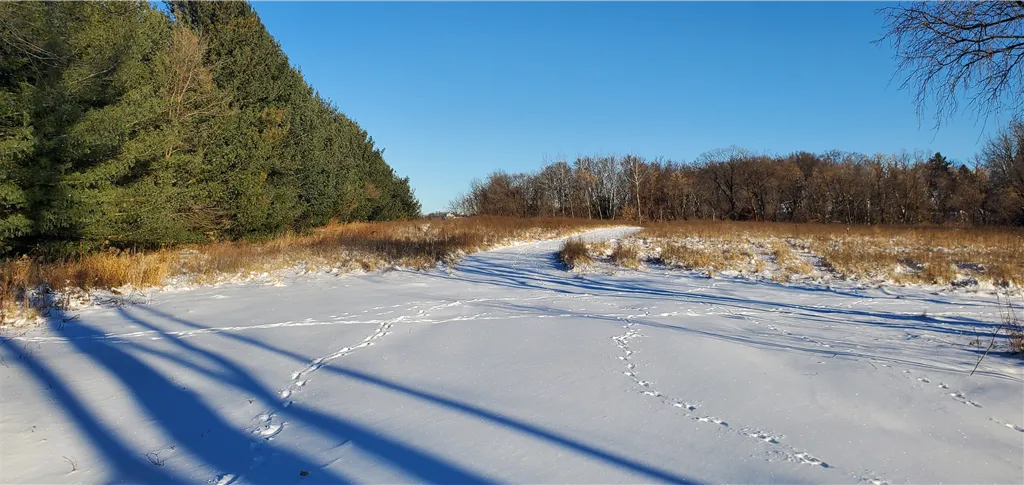 A snow-covered road in a winter landscape with frosty trees and a clear dawn sky.
