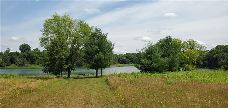 A tranquil summer countryside scene with a serene lake and lush greenery.