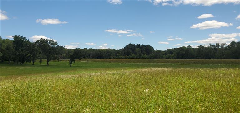 Scenic view of a summer hayfield in a rural landscape with trees and a clear sky.
