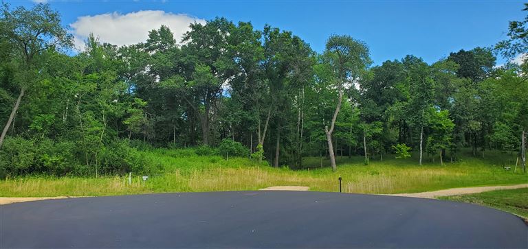A scenic rural road in summer with green grass and trees under a clear sky.