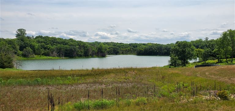 A peaceful summer landscape featuring a lake with reflections, surrounded by trees and grass under a clear sky.