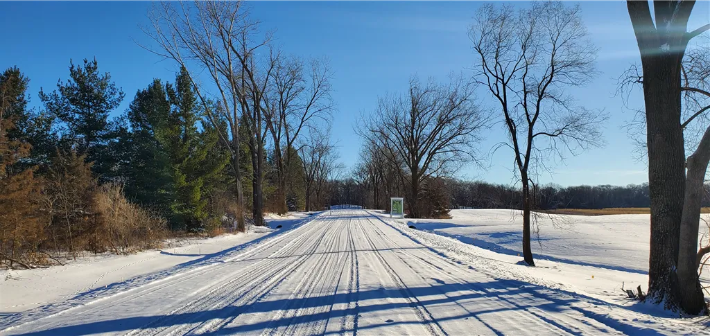 Snow-covered road with frosty trees at dawn in a winter park.