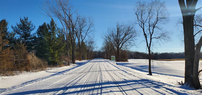 Snow-covered road with frosty trees at dawn in a winter park.