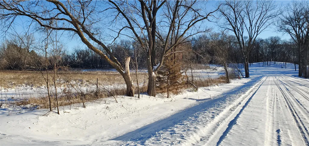 Snow-covered road in a winter landscape with frosty trees.