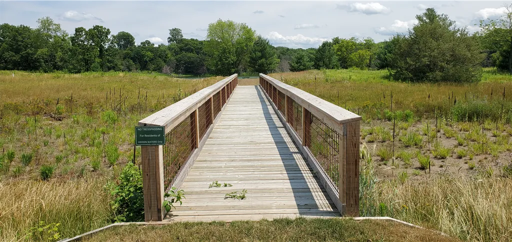 Wooden boardwalk in a green summer landscape with trees and a clear sky.
